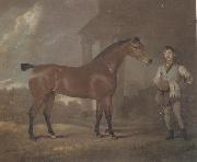 David Dalby, The Racehorse 'Woodpecker' in a stall